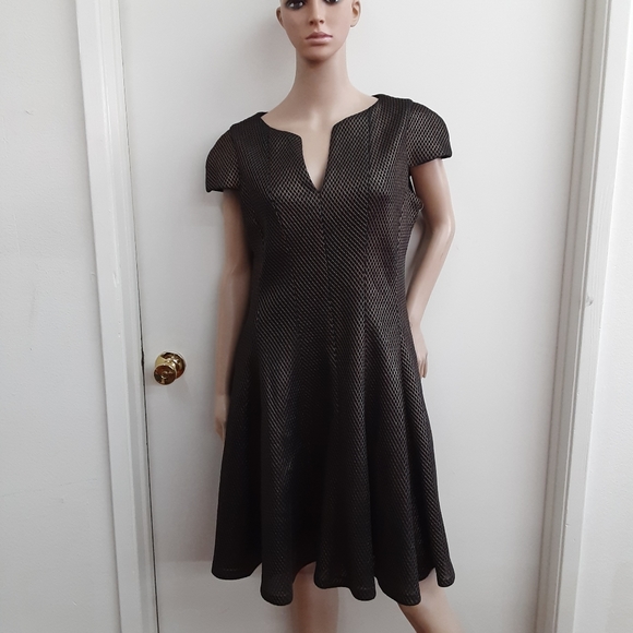 Julia Jordan - Picture 1 of 3